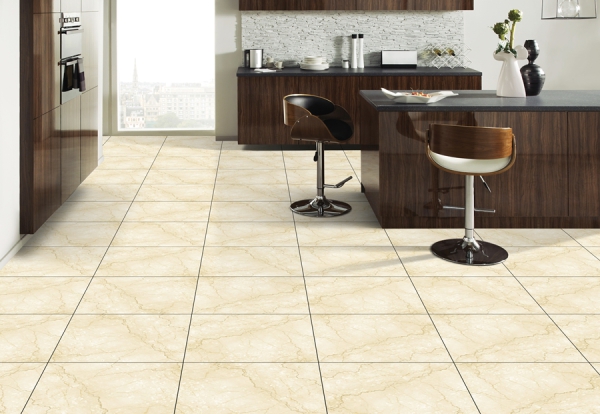 Matt 60x60cm Porcelain Floor Tiles V97050