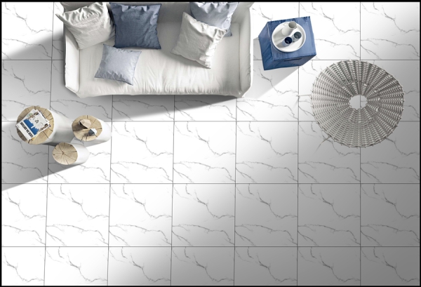 Carving 60x60cm Porcelain Floor Tiles 91016