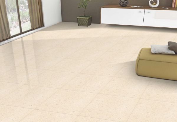 Double Charge 60x60cm Porcelain Floor Tiles 94004